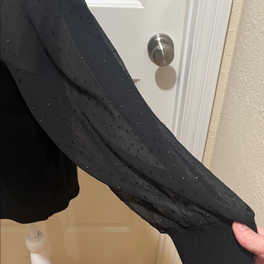 Calvin Klein Black Top with Sheer Sleeves - Picture 3 of 14